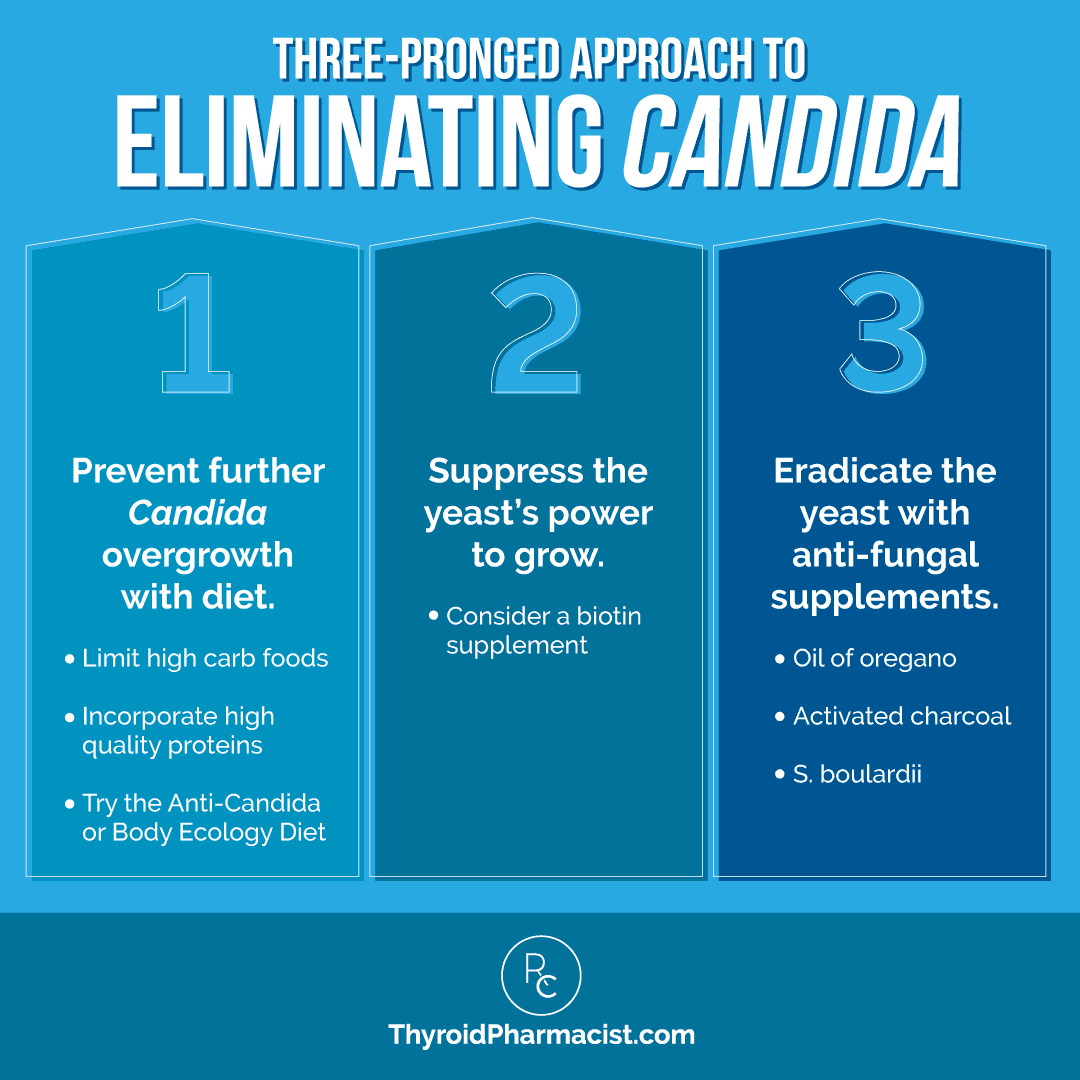 Candida and Hashimoto’s Connection Dr. Izabella Wentz
