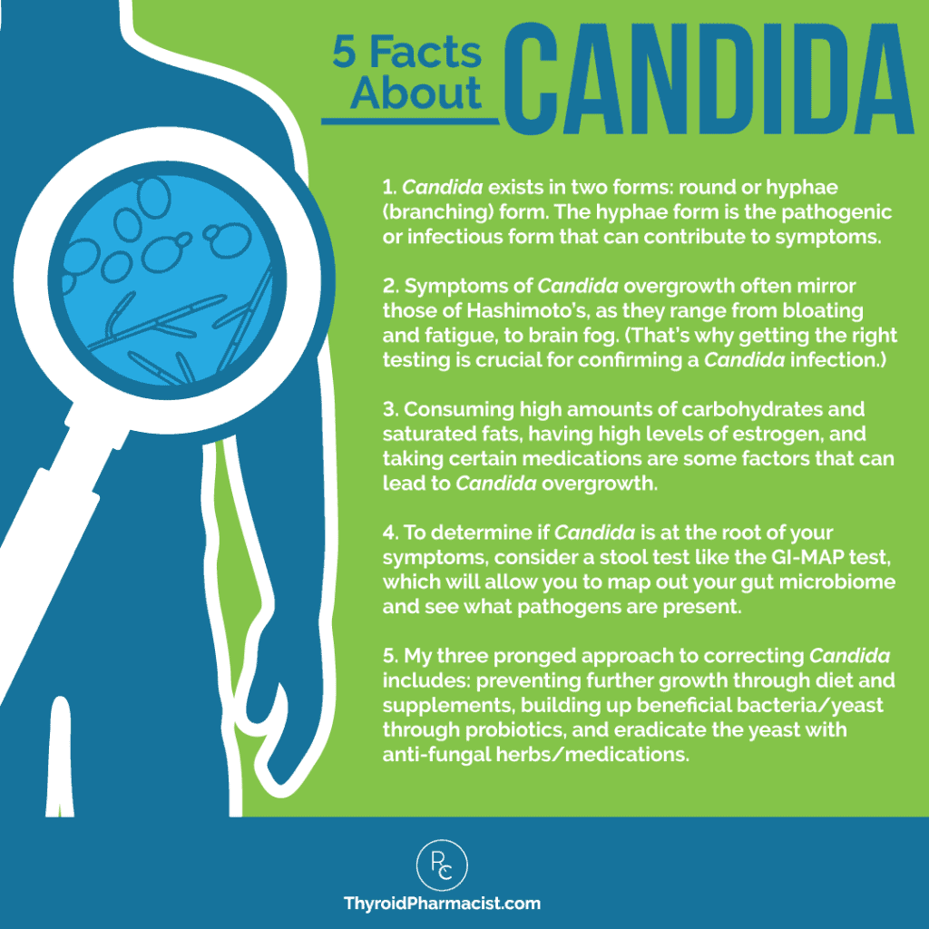 Candida and Hashimoto’s Connection Dr. Izabella Wentz
