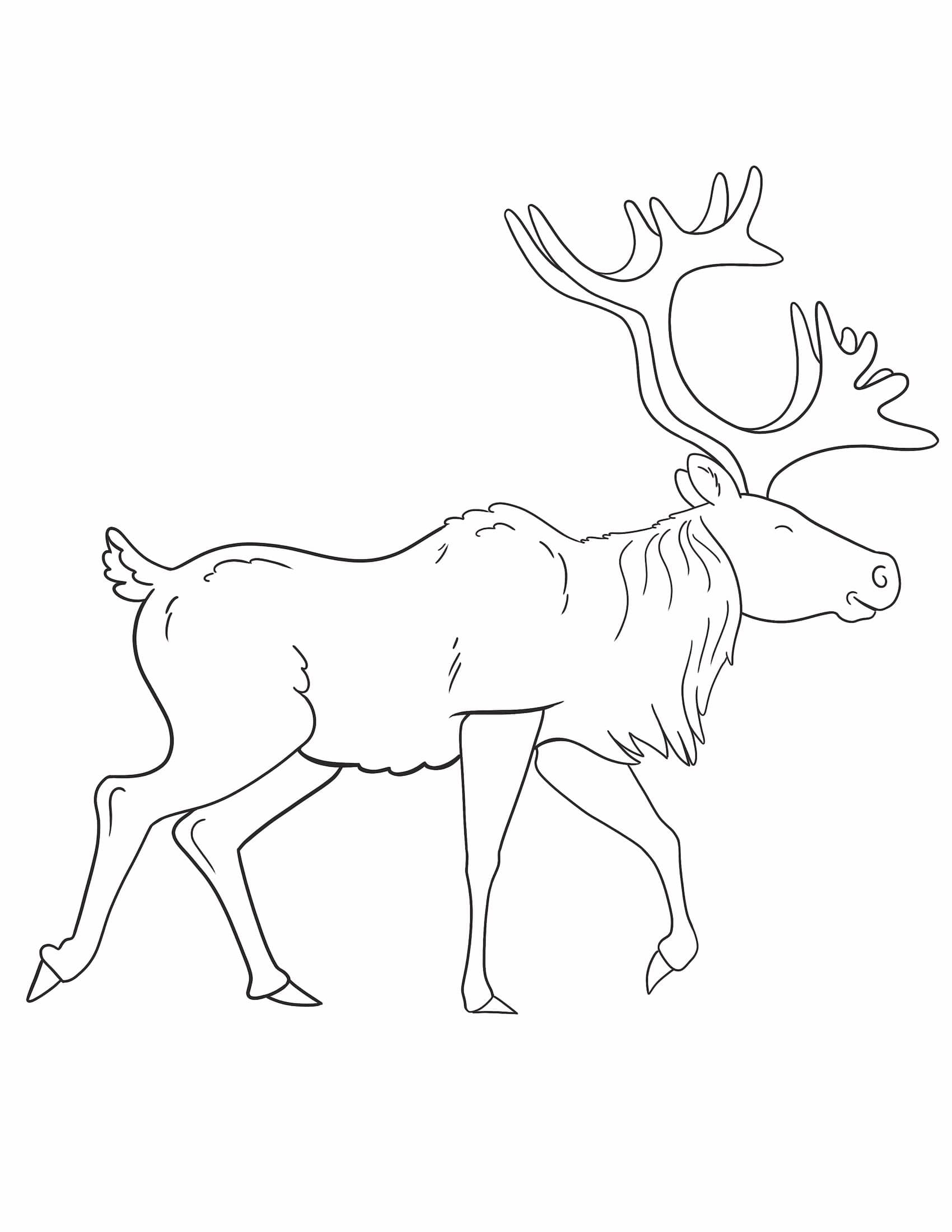 Caribou Coloring Page Coloring Pages
