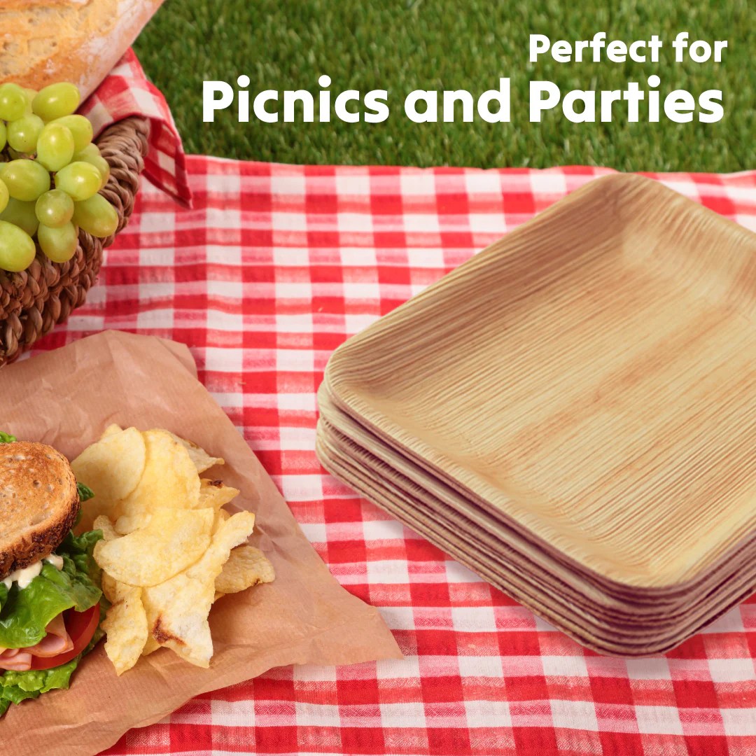 5 Reasons Why Palm Leaf Plates are the EcoFriendly Choice for Your Ne