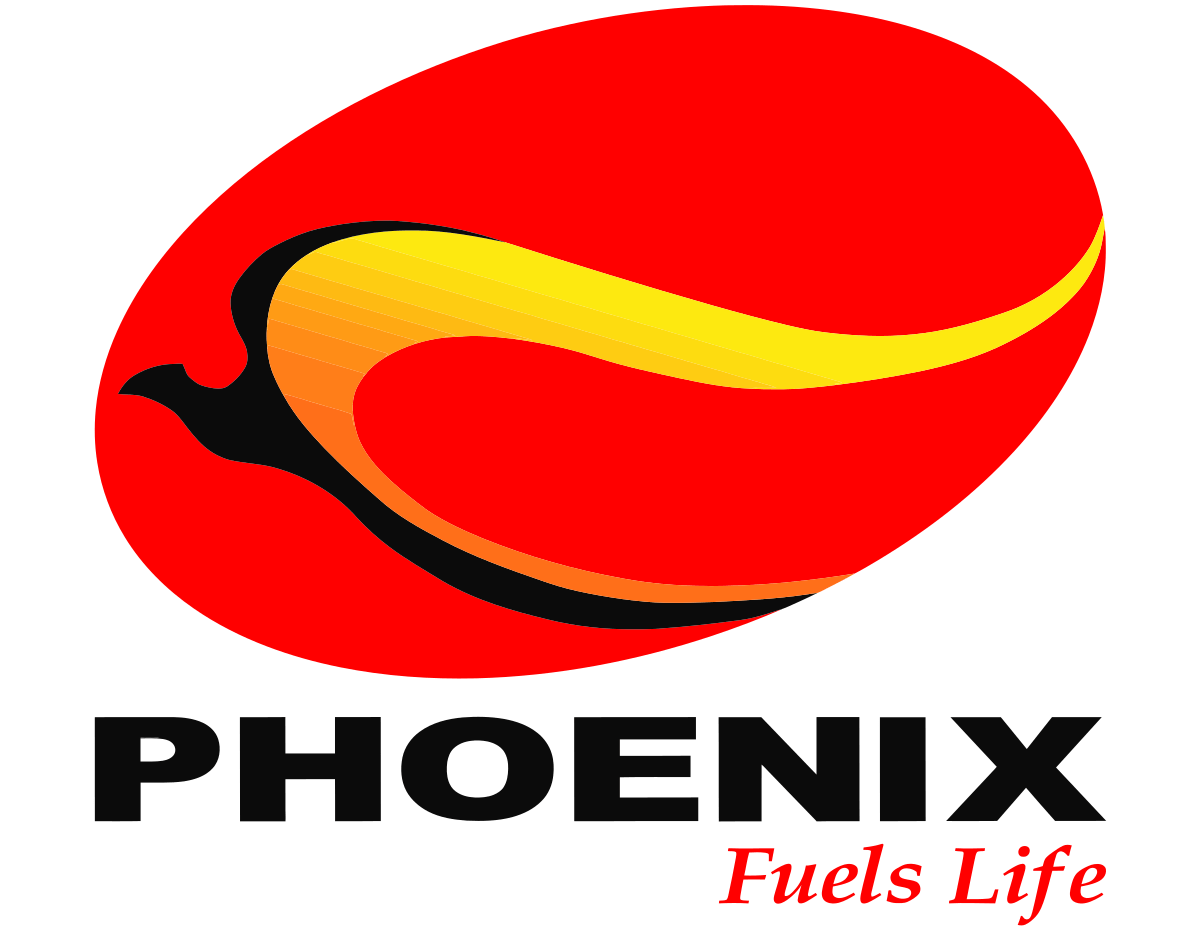 Troubleshooting Phoenix Engine Main Exe Errors – tibbsforge
