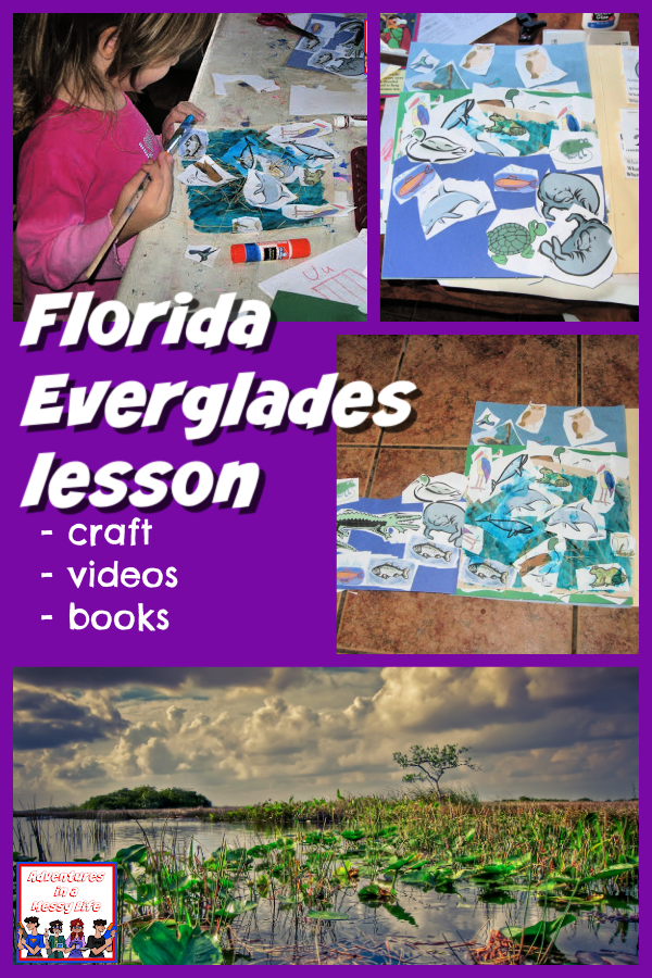 Florida Everglades lesson
