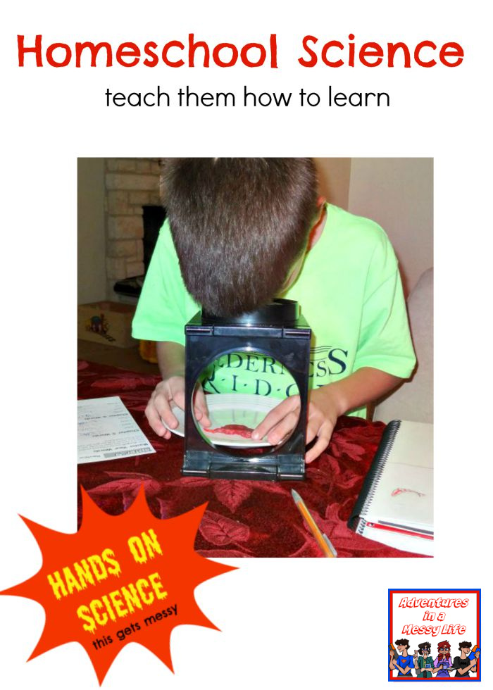 Homeschool science lessons