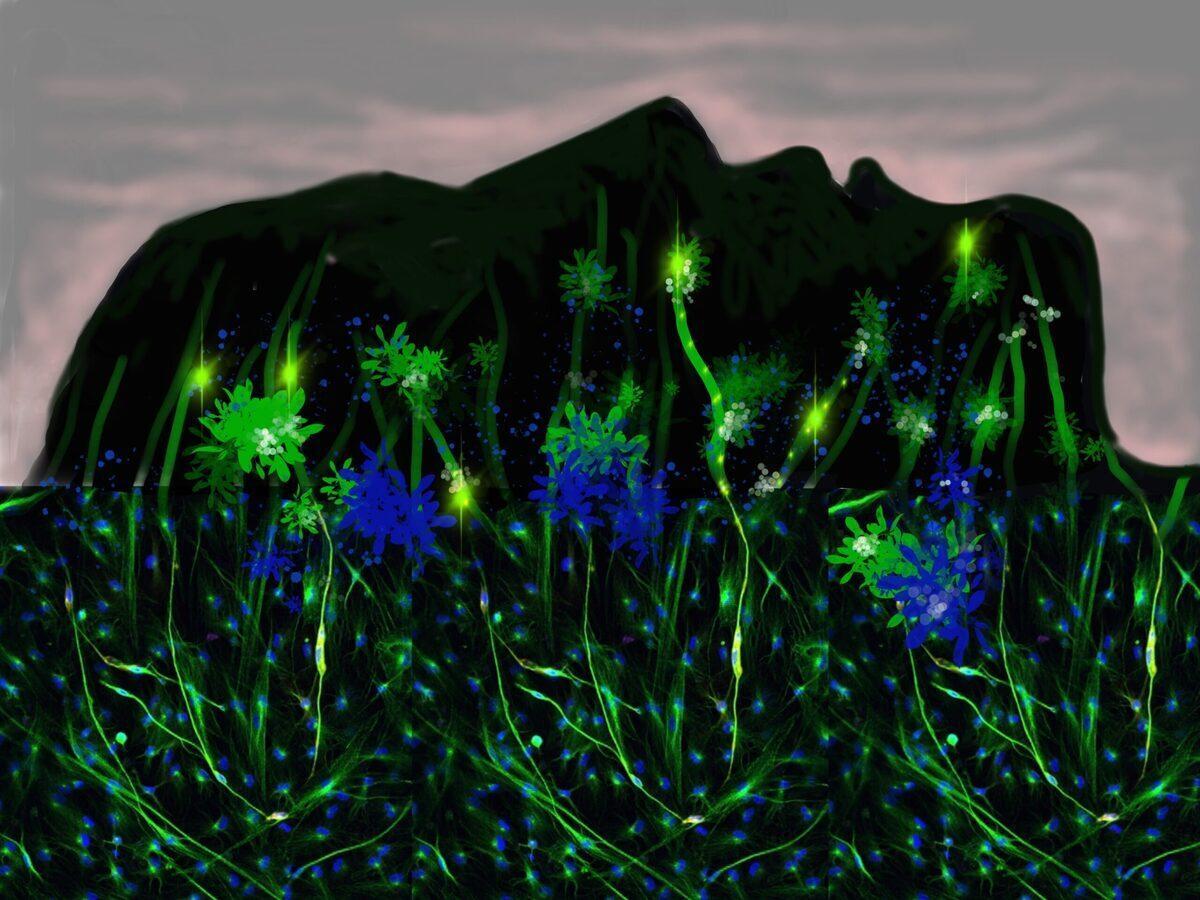 Ark Aberration Rare Flower Farming Best Flower Site