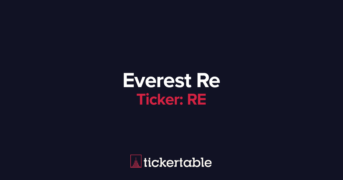 What Does Everest Re Do?