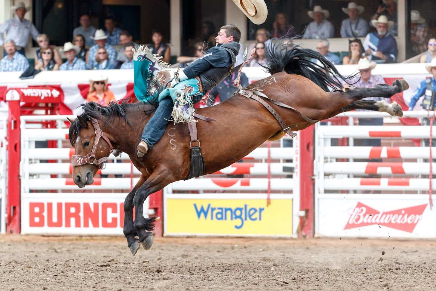 Calgary Rodeo Schedule & Tickets 2024/2025