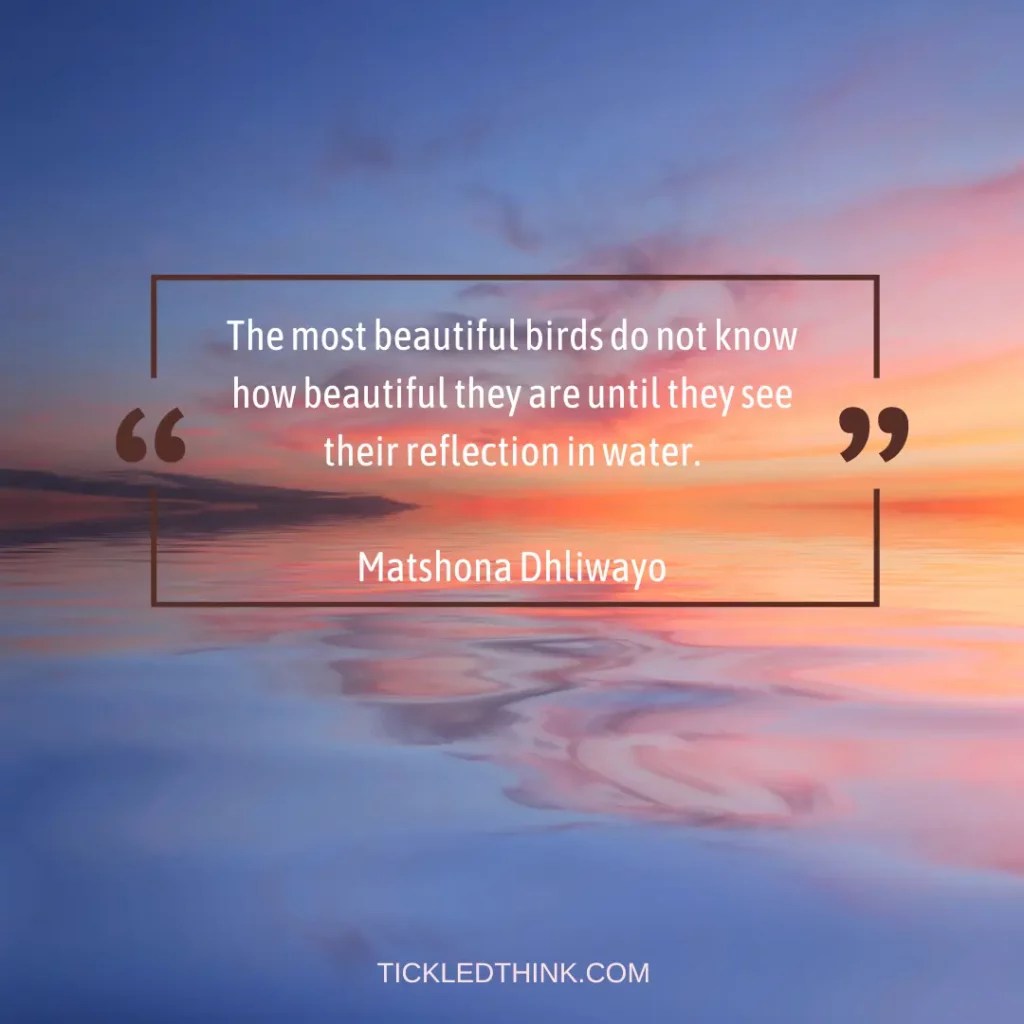70+ Best Water Reflection Quotes To Give You Wisdom Tickled Think