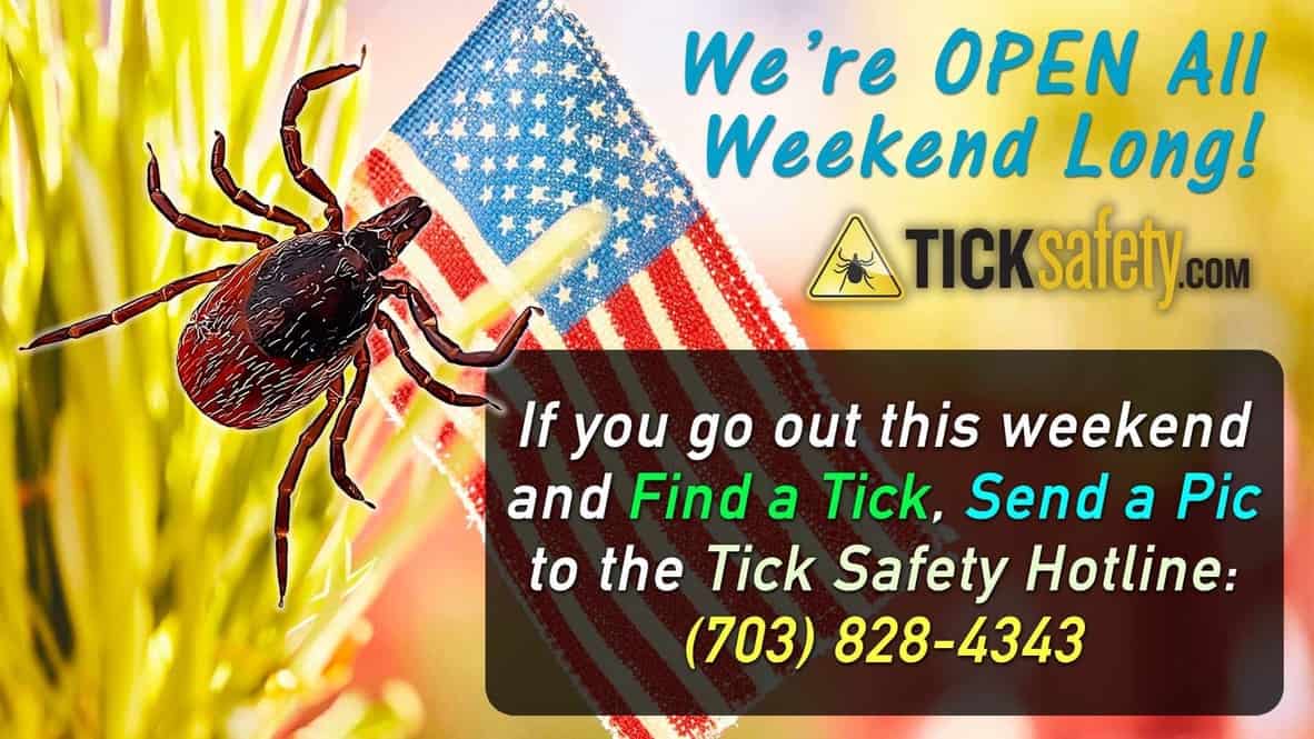 Resources to Keep You Tick Safe Outdoors