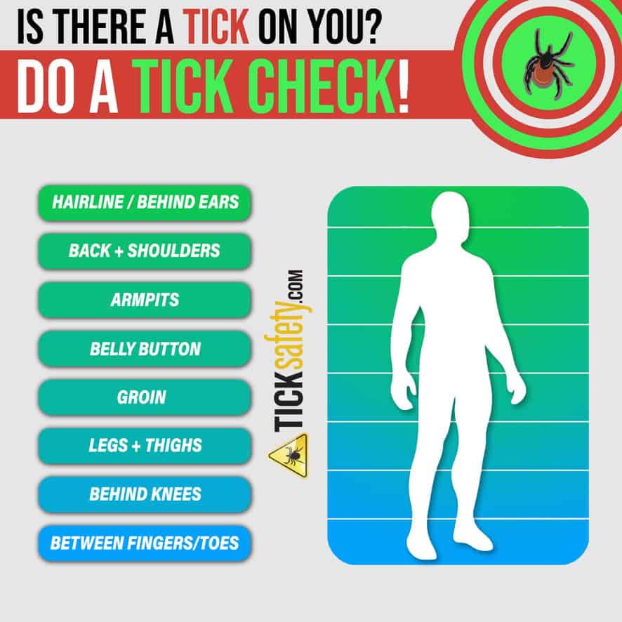 How to do a Tick Check • Tick Prevention
