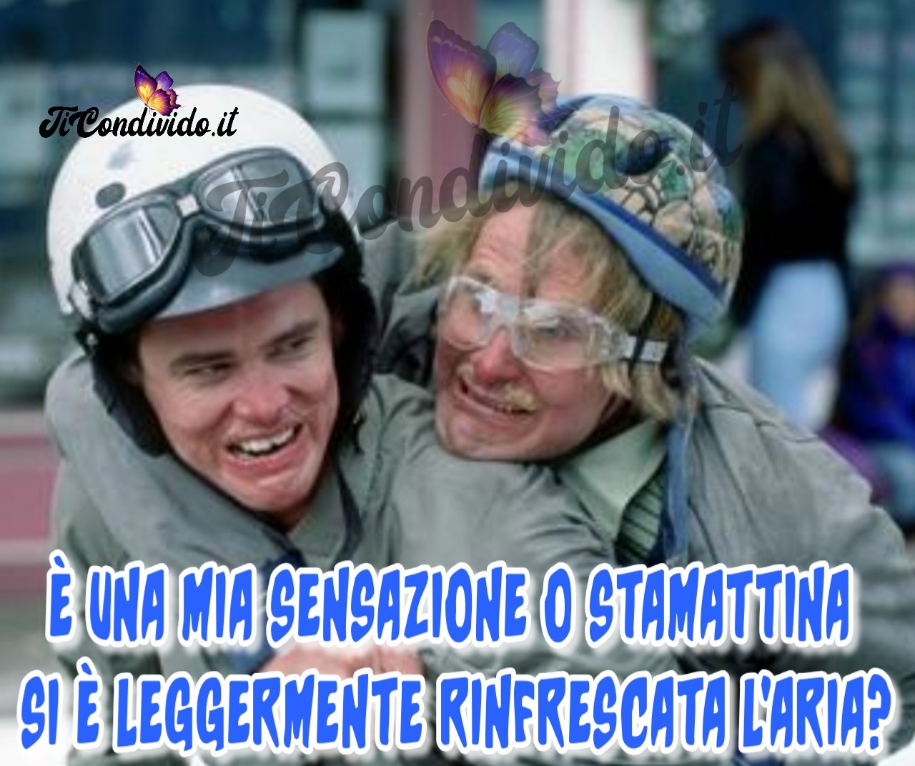 Le più Divertenti Immagini di Buongiorno per Facebook e WhatsApp