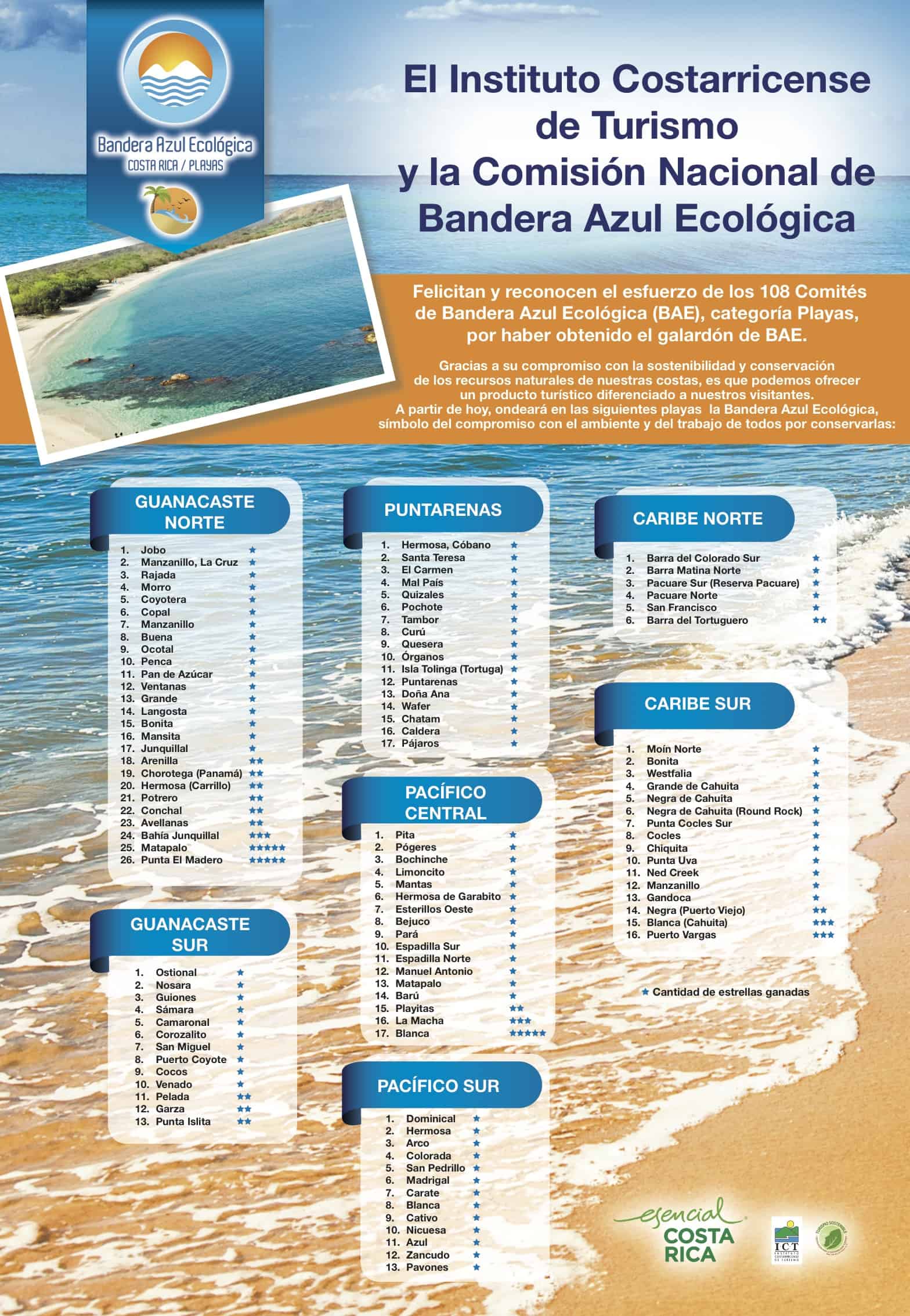 A liquid sky of blue stars bioluminescence in Costa Rica Enchanting