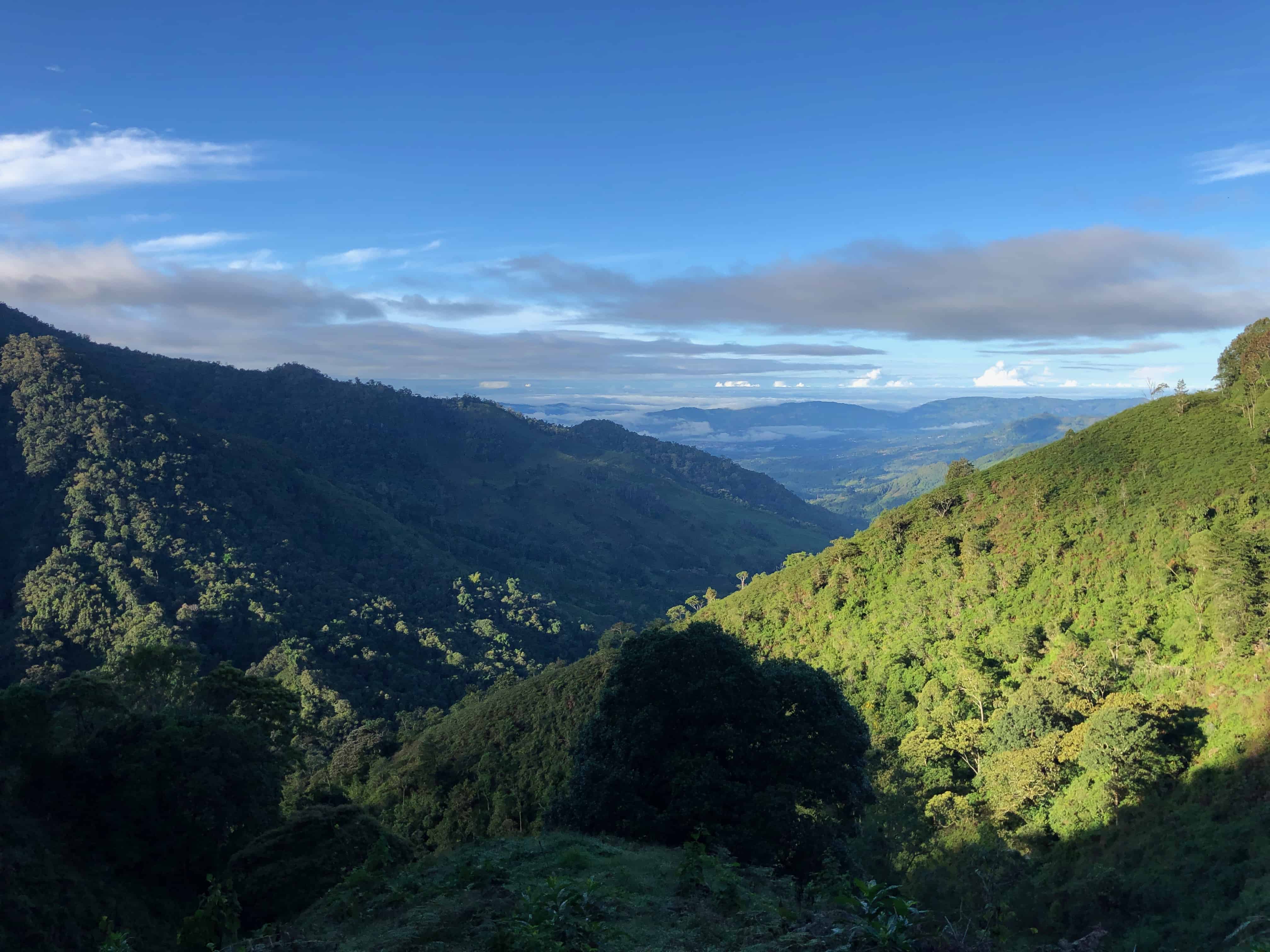 Costa Rica craft beer festival highlights quality over quantity The