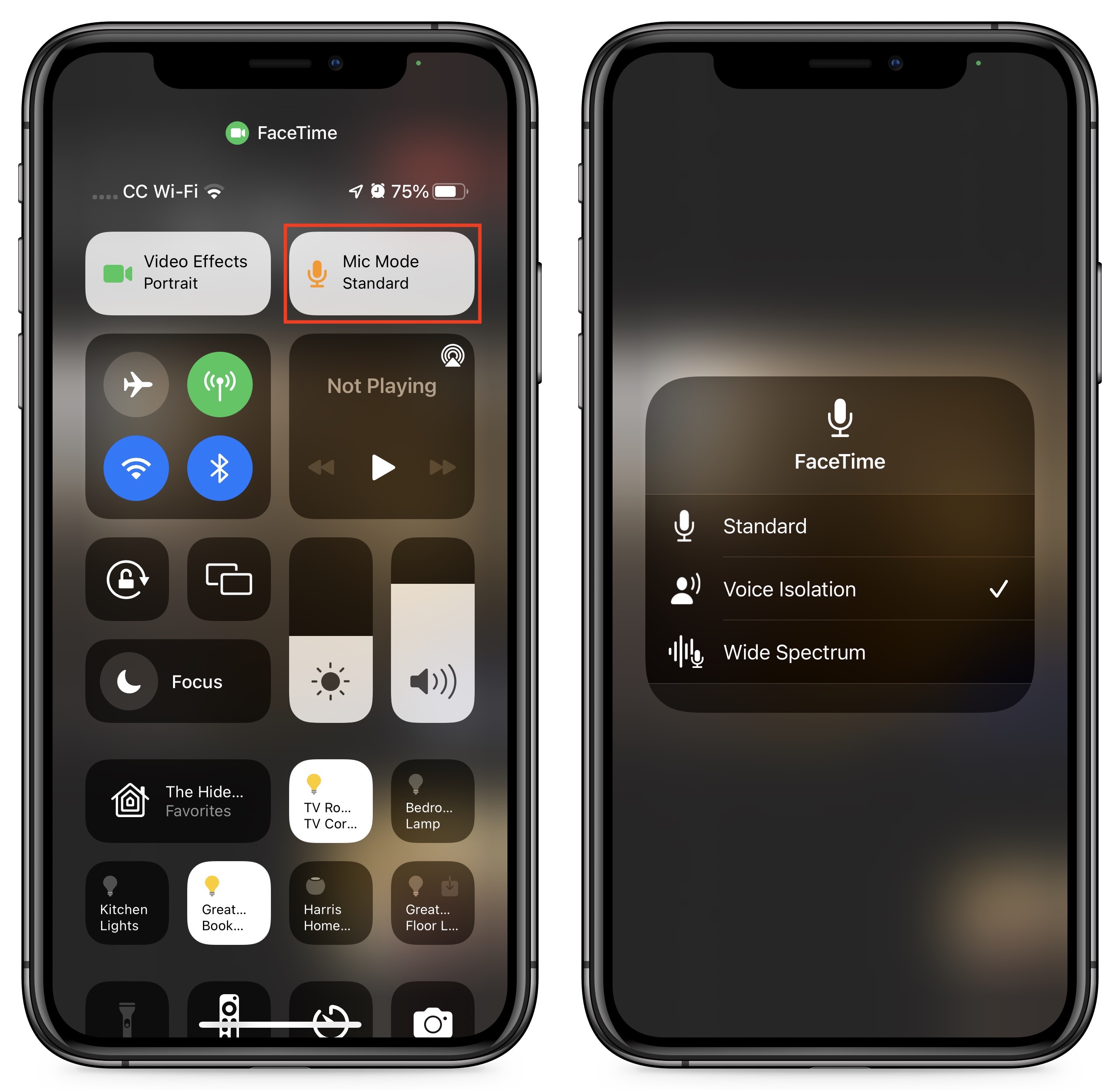 New FaceTime Features Links, Grids, and a  App TidBITS