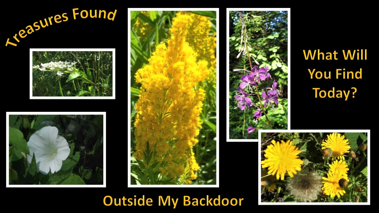 flower power Tidbits by Shannon