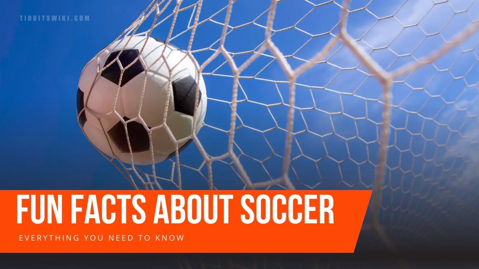 10+ Fun Facts About Ecuador That Will Shock You!