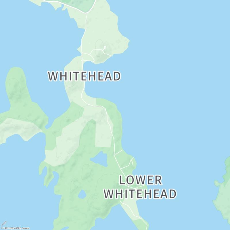 Tide times and weather for WHITEHEAD Tides Today