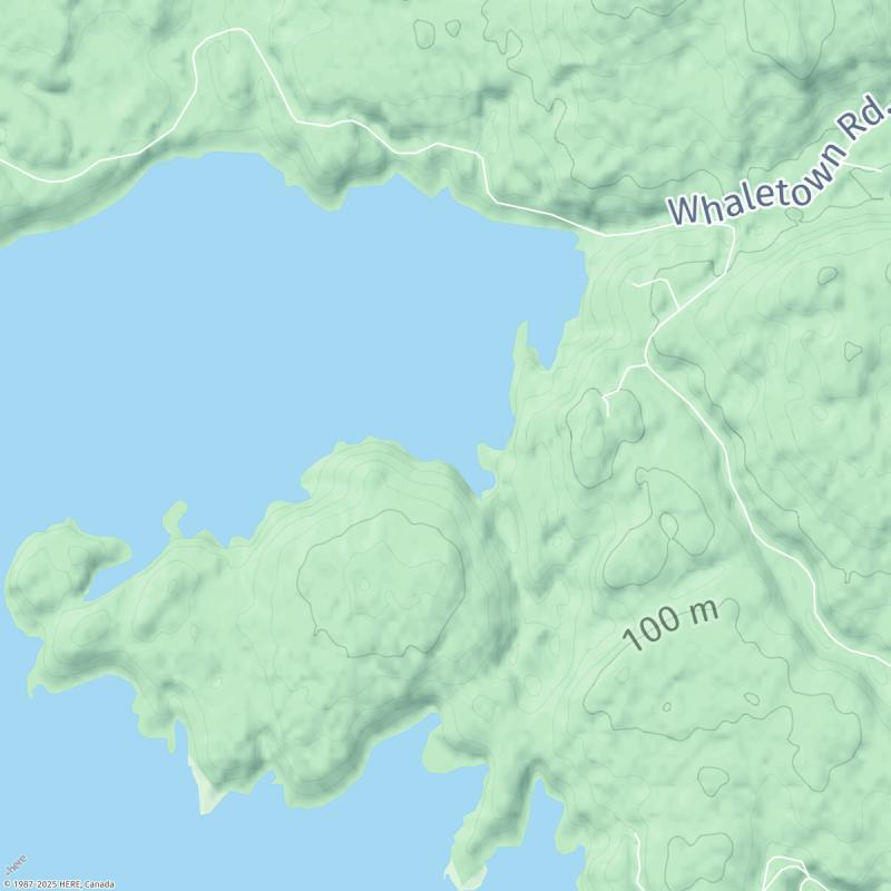 Tide times for Harbour Tides Today