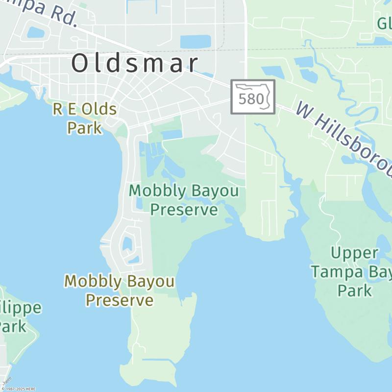 Tide times and weather for Mobbly Bayou Tides Today