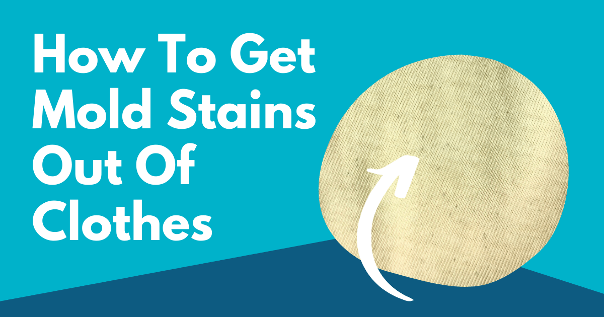 How To Get Mold Stains Out Of Clothes Tidy Diary