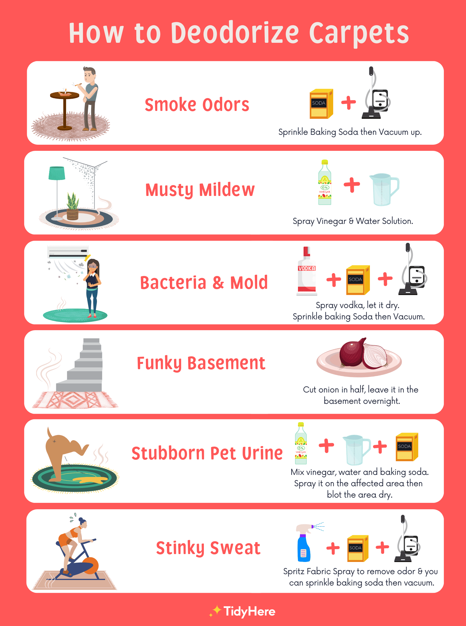 How to Deodorize Carpet Like a Pro! Tidy Here Cleaning Service Boston