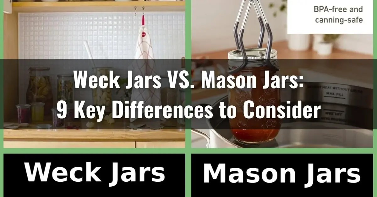 Weck Jars Vs Mason Jars 9 Key Differences To Consider