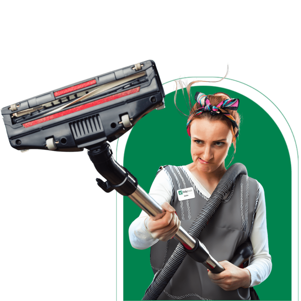 TidyTask House Cleaning Denver Professional Cleaners