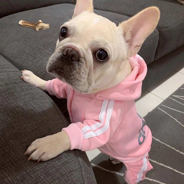 Pullover für Hunde “ADIDOG” TierWelt