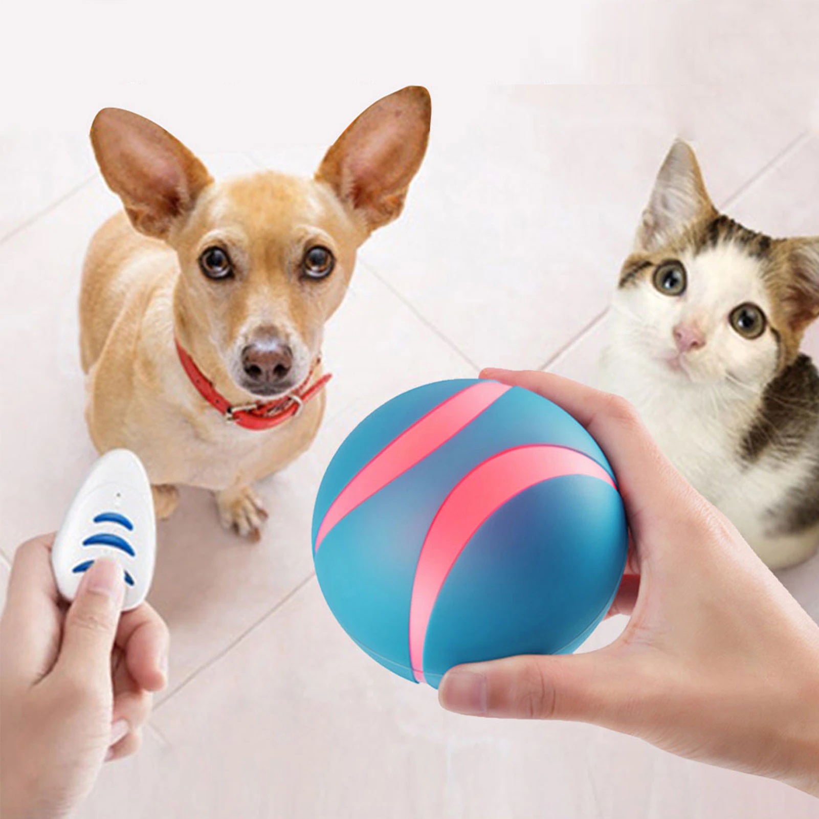 RotationsBall Katzen Spielzeug “Smart Ball” TierWelt