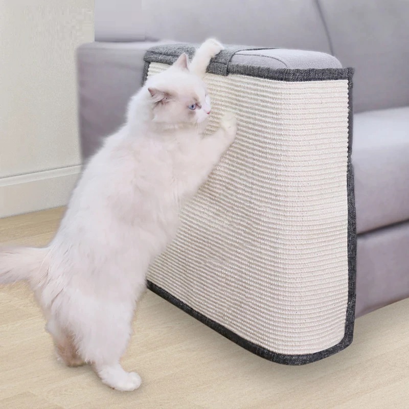 Sofa Katzen KratzTeppich TierWelt