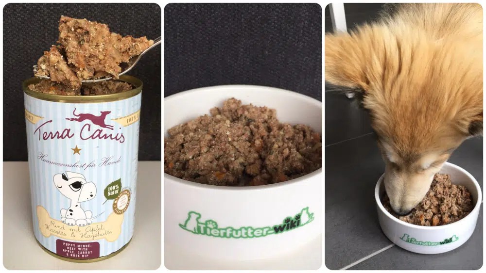 Welpenfutter von Terra Canis Welpenfutter Check 2021