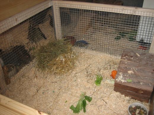 Auslaufgehege Tierheim Bayreuth