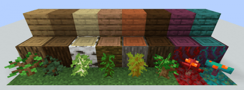 Create a Minecraft Wood Tierlist (Includes 1.16 Varieties) Tier List TierMaker