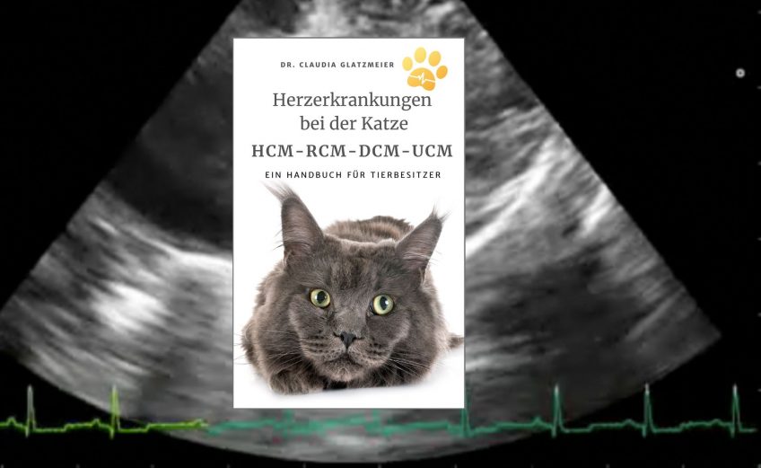 Tiermedizin Simplified! Fundiertes Wissen von der Tierärztin