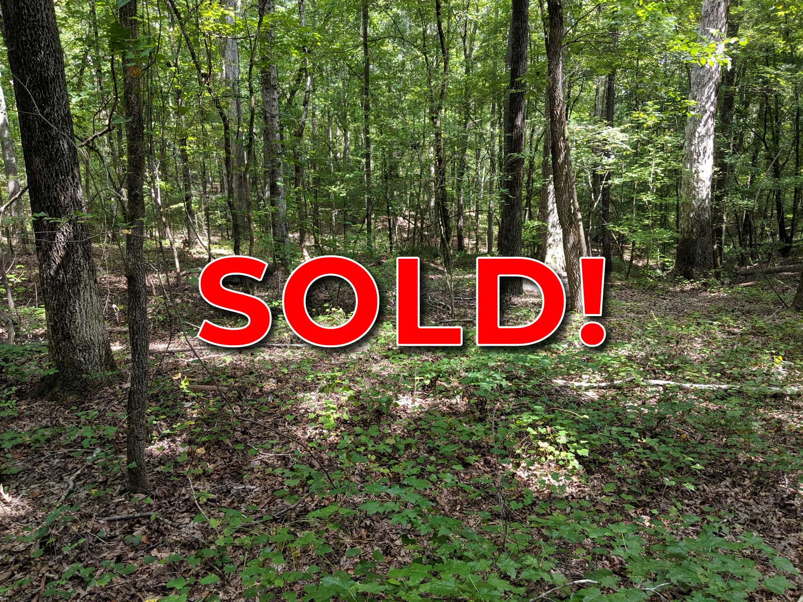 Perfect 3.23 Acre Buildable Lot in Putnam County, GA No Restrictions