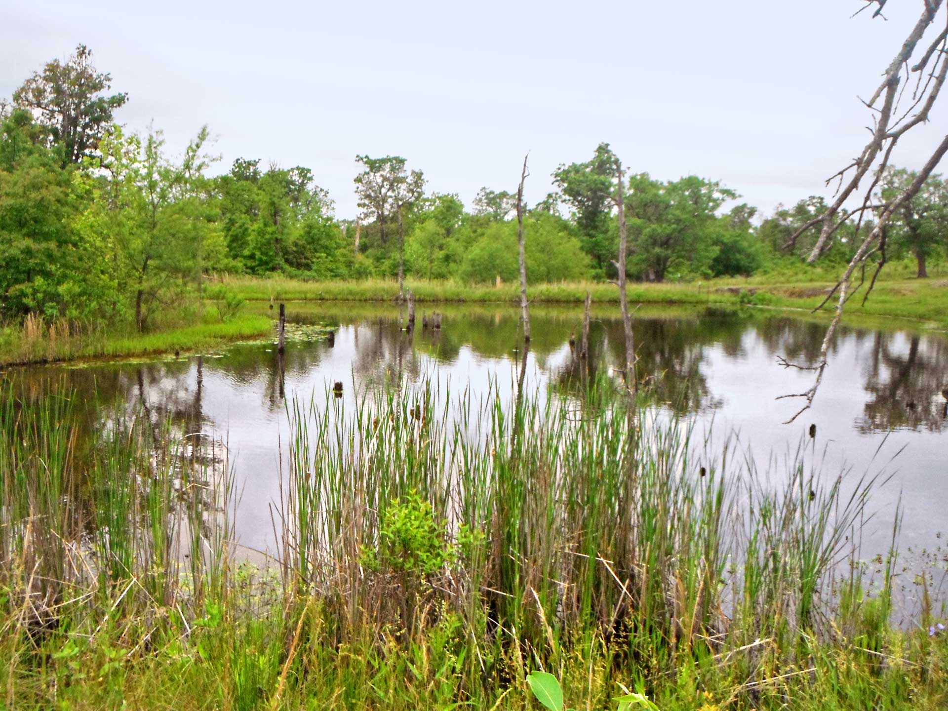 2.5 Acres With A Pond Just 30 Mins From Tulsa! Tierra Land Company