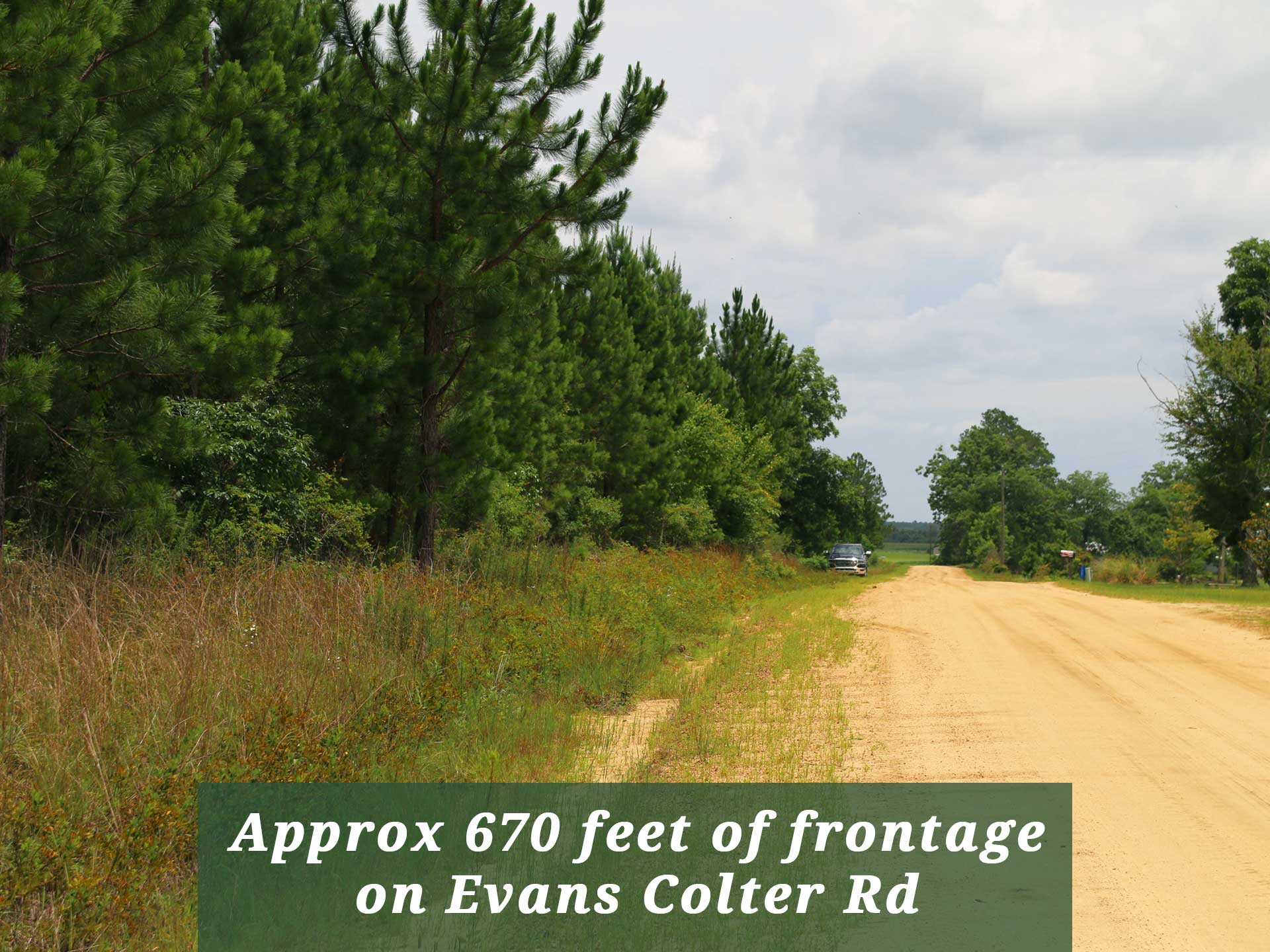 32 Wooded Acres On A Country Road Halfway Between Savannah and Atlanta Tierra Land Company