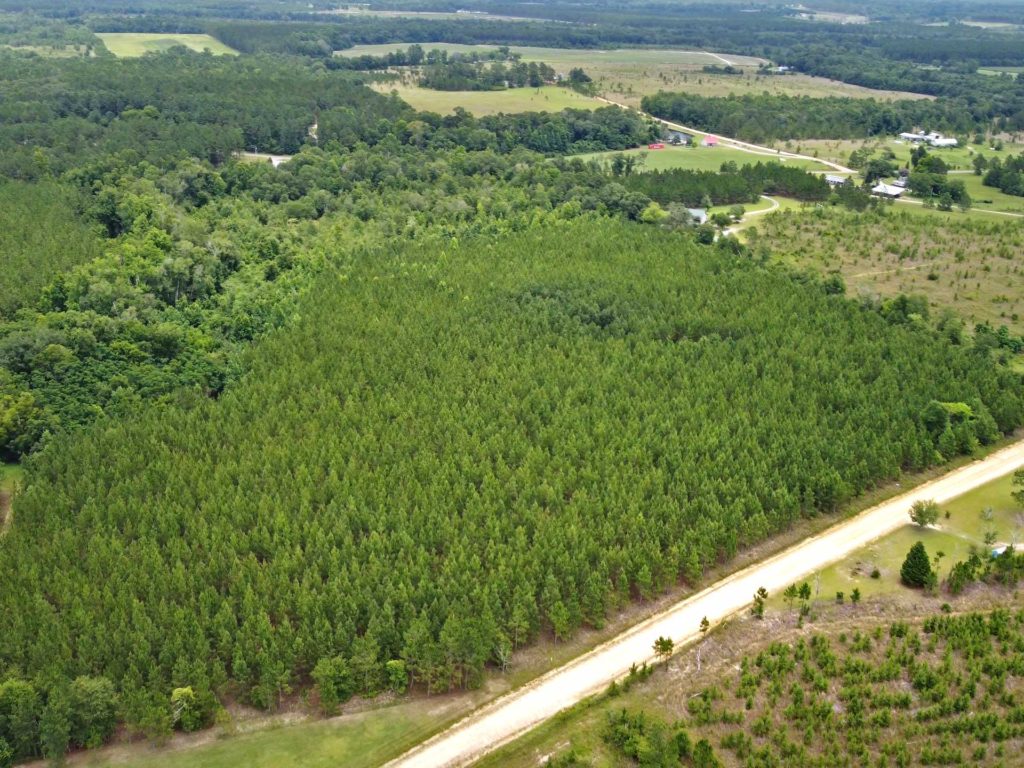 Buy Cheap Vacant Land the Smart Way Tierra Land Company