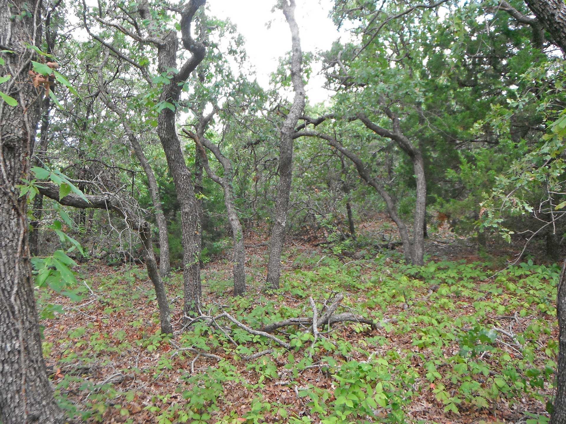 Just Under 5 Acres Of Unrestricted Land 1 hr to OKC! Tierra Land