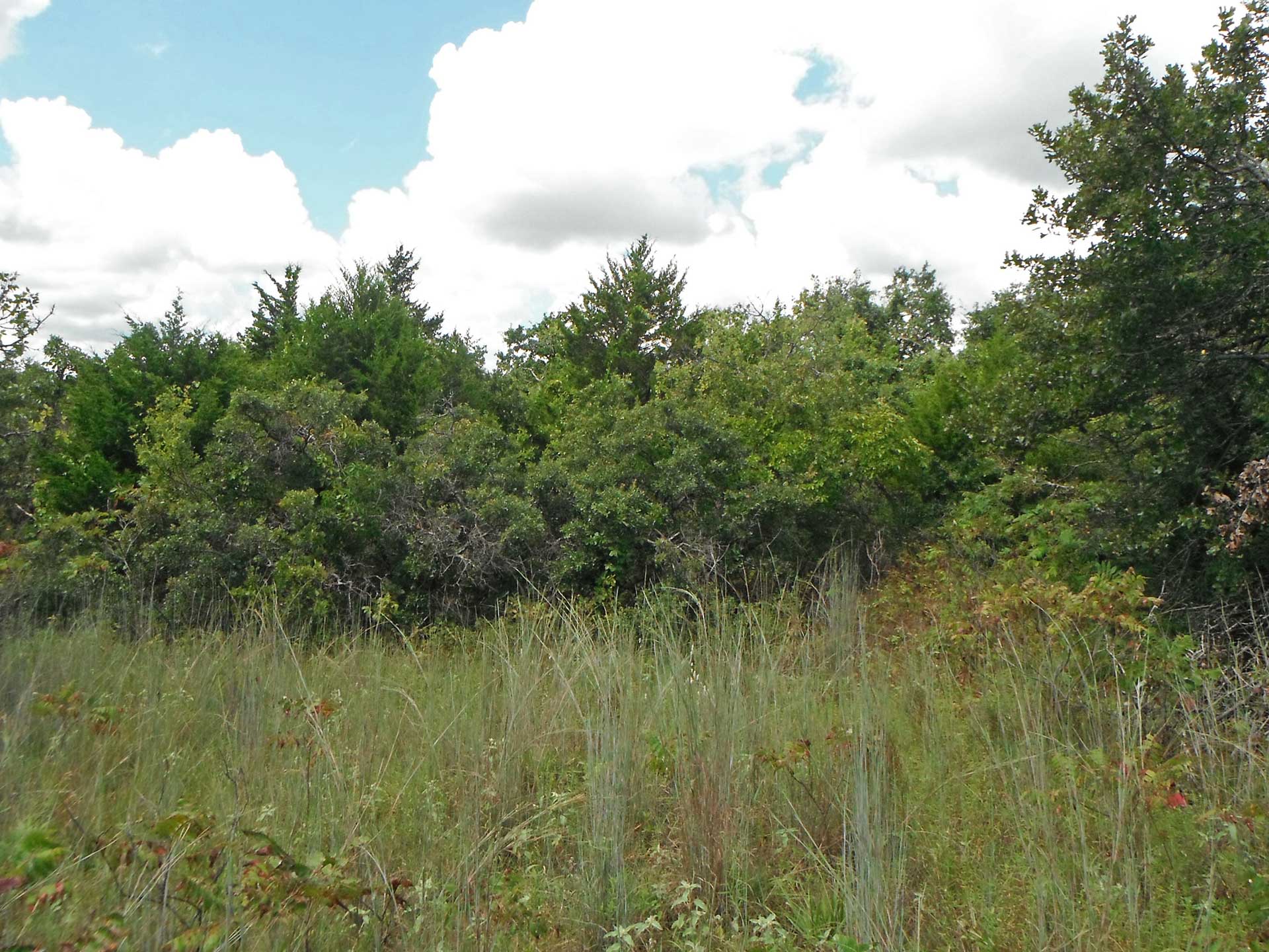 Just Under 5 Acres Of Unrestricted Land 1 hr to OKC! Tierra Land