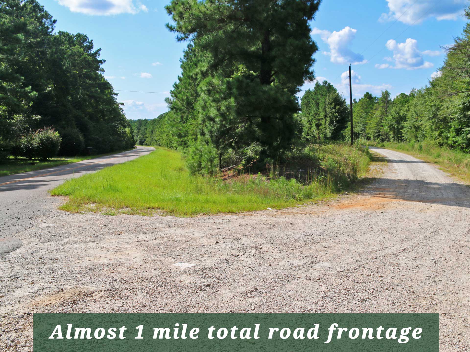 27 Acres For Hunting At Home 1 Hr 30 Mins From Atlanta Tierra Land