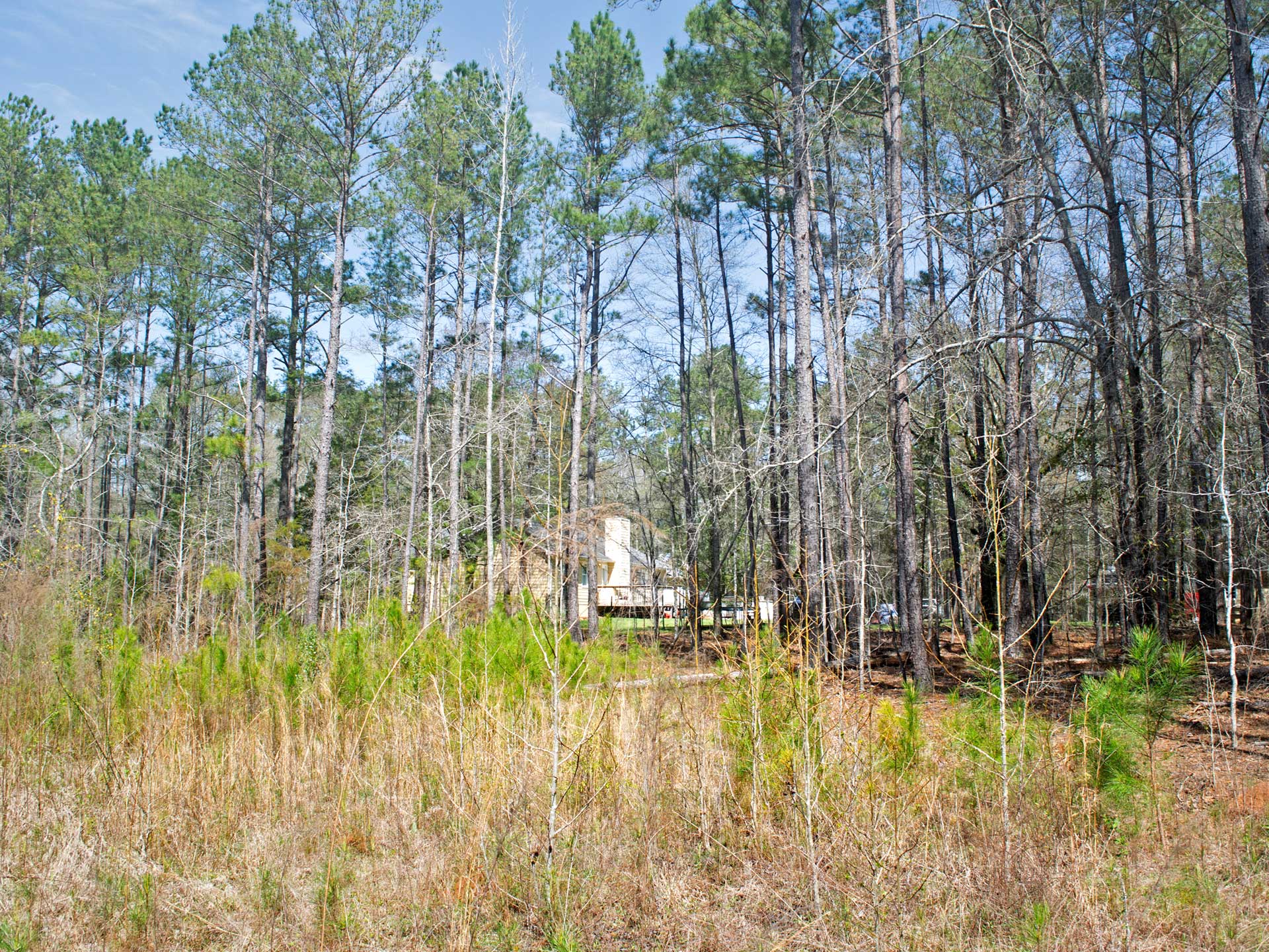 4 Acres On Paved Road Just 5 Mins From Forsyth Mobile Homes Allowed