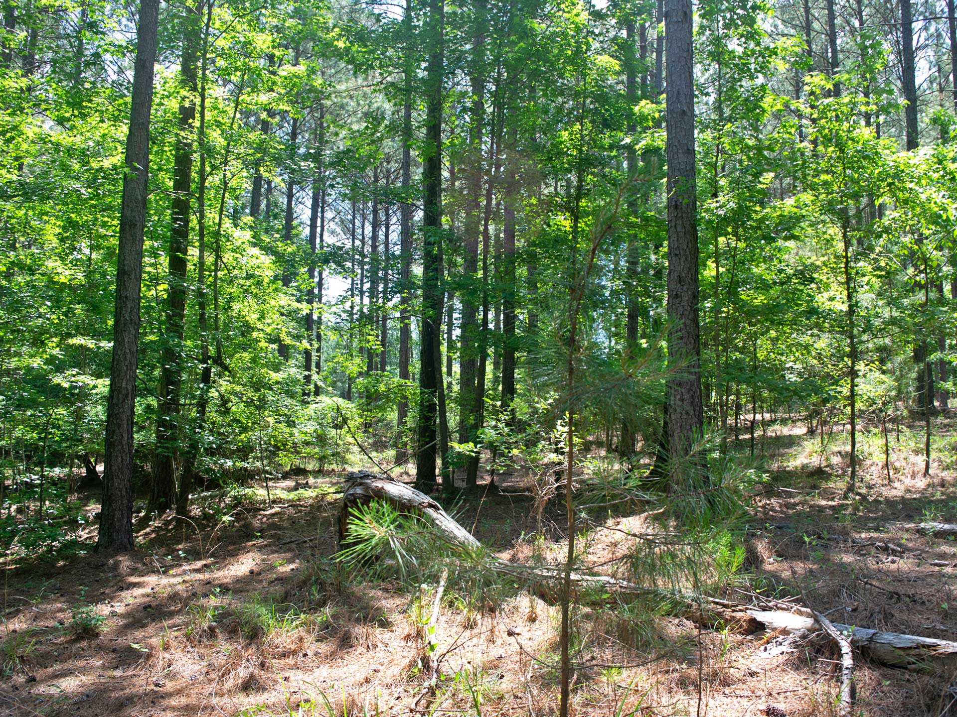 2.9 Acres In Subdivision on Lake Thurmond 1 Hour From