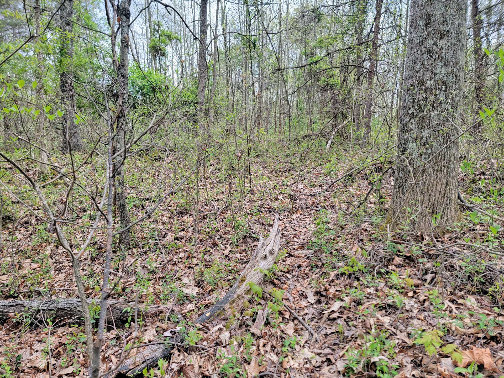 13 Rolling Country Acres On Paved Highway 30 Minutes From Jackson, OH