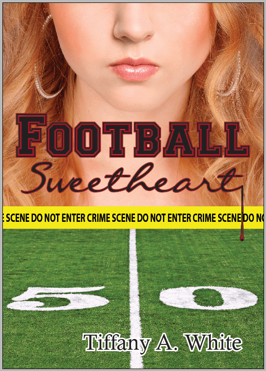 Promotional Book Tours 0.99 Valentine's Day Promo