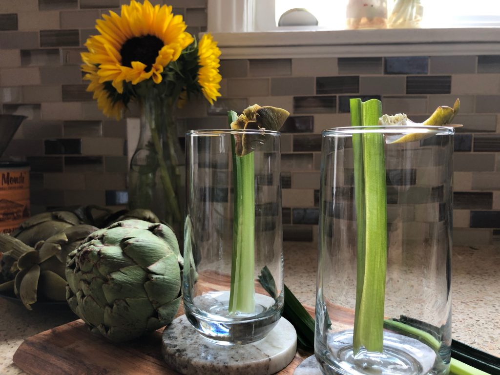 9+ Artichoke Tea Recipe SherazSanskruti