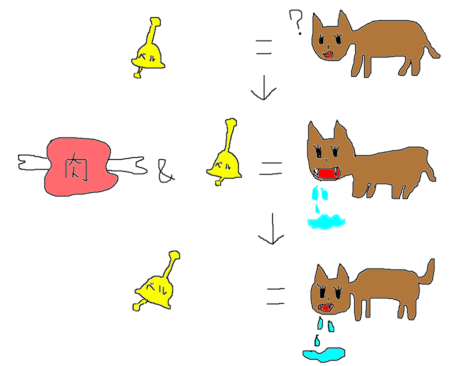 【コンフォートゾーン＋パブロフの犬＝かけひき】女性の気持ちを惹きつける魔のテクニック 恋愛カウンセリングRoom
