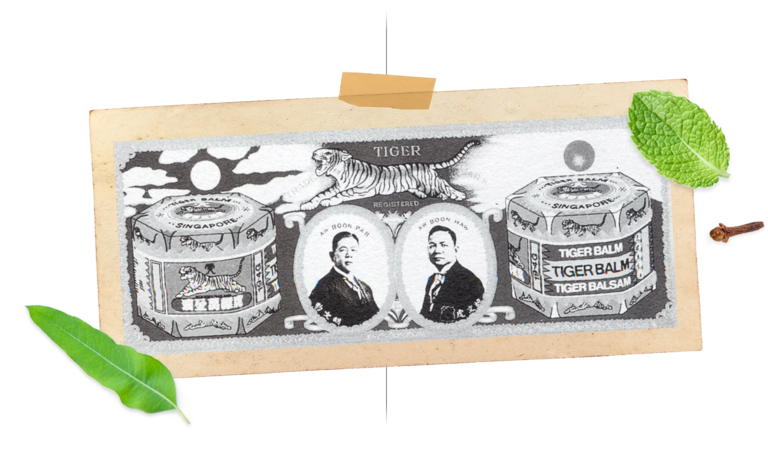 Wisdom Of Generations Tiger Balm History