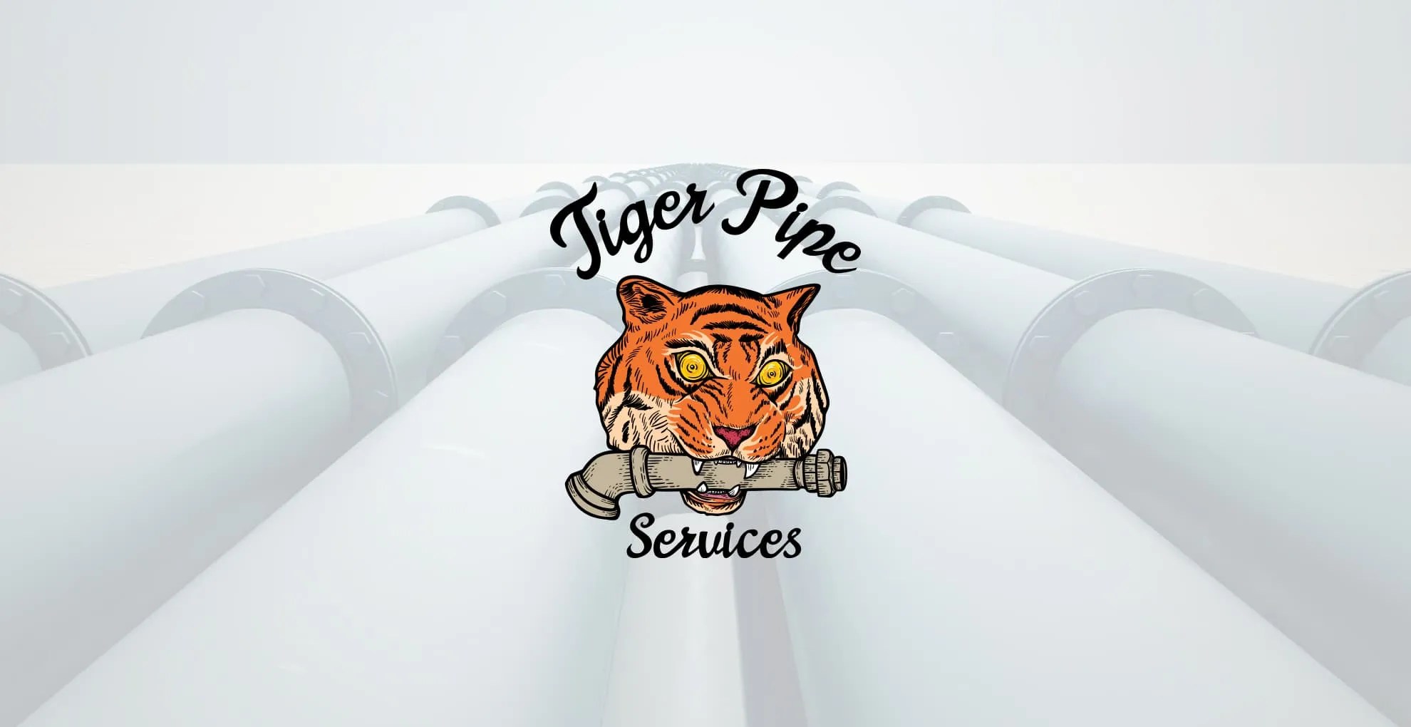 Plumbing Specialists in Detroit Tiger Pipe Services