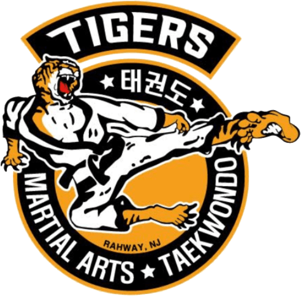 Meet the Master Tiger Martial Arts Summer Camp