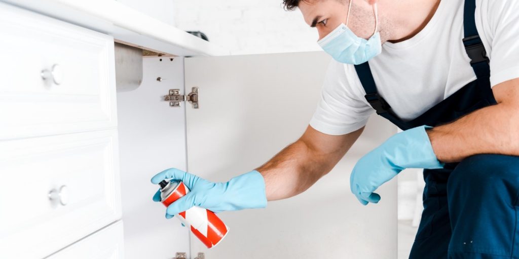 How to Find the Best Pest Control Service in Riverside, CA